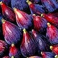 Top 10 Fruits Highest in Magnesium