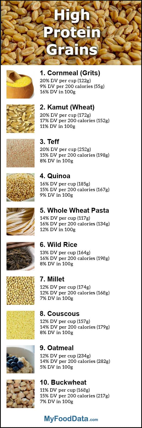 Top Grains Highest In Protein