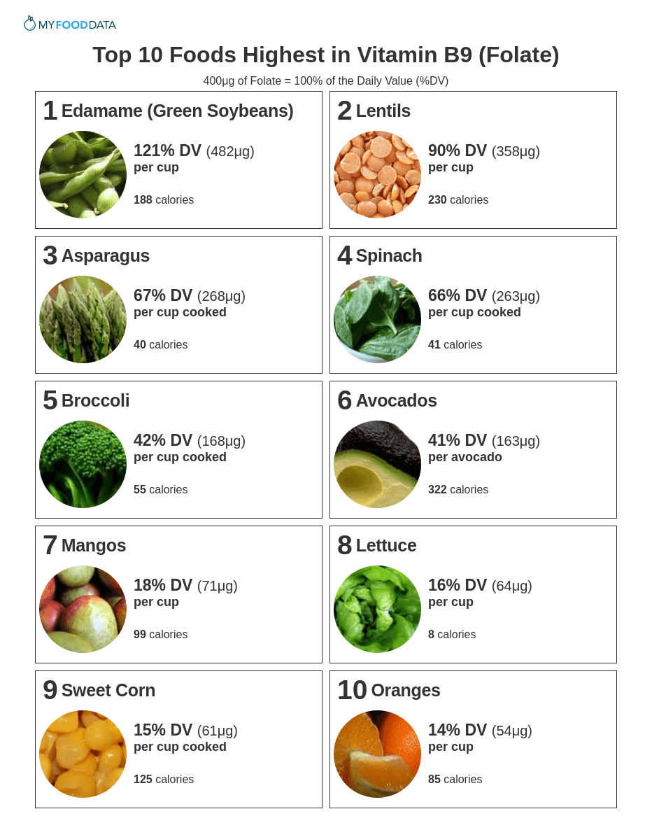 Top 10 Foods Highest in Vitamin B9 (Folate)