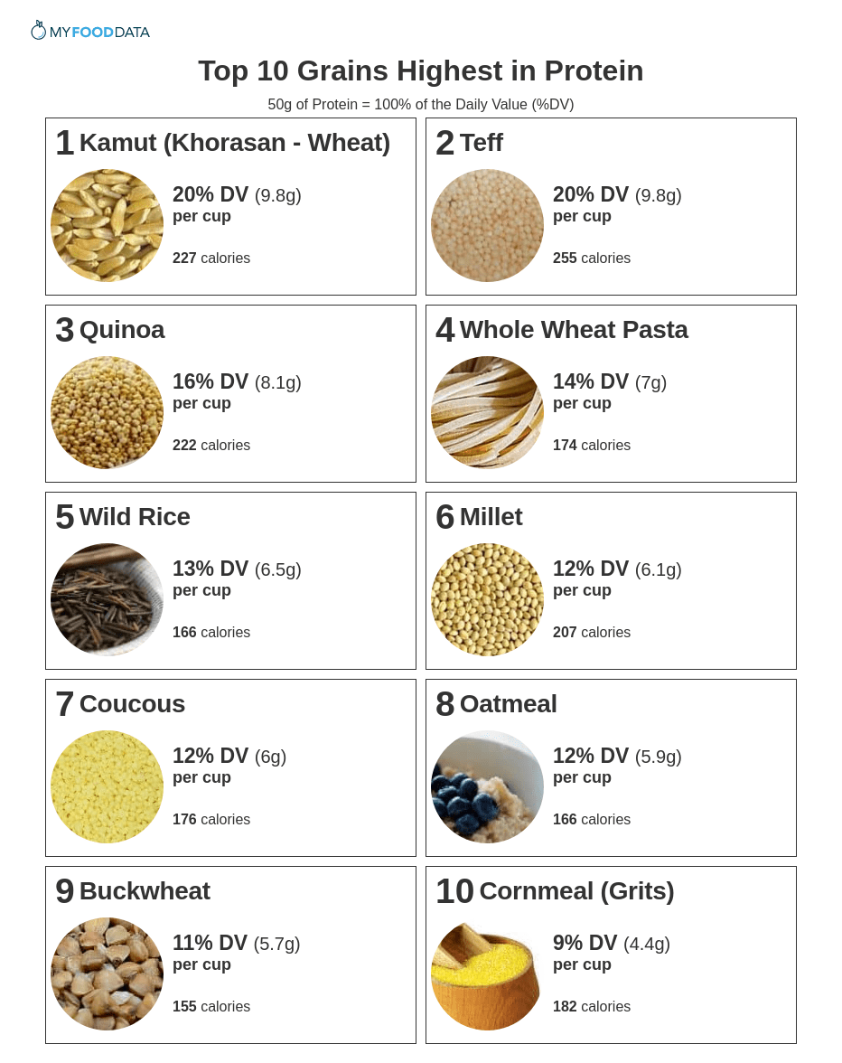 Top Grains Highest In Protein
