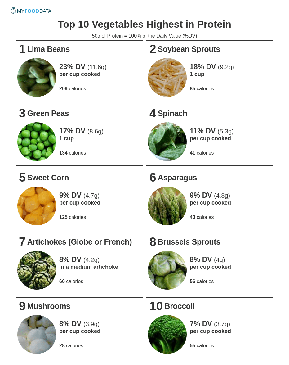 Vegetables High In Protein Low Carbs Encycloall