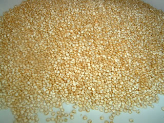 quinoa-ingredients.jpg