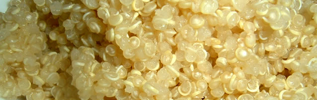 quinoa-intro.jpg