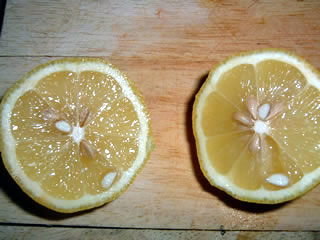 add-lemon.jpg